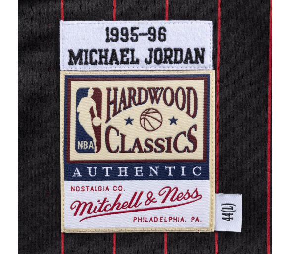 Authentic Jersey '95 Jordan Chicago Bulls